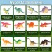 Dinozaurų kiaušinių kasimo archeologo rinkinys 12 dinozaurų kasimui WOOPIE