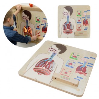 Kvėpavimo sistemos ugdymo taryba MASTERKIDZ Montessori
