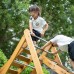 Medines žaidimų aikštelės XL Montessori laipiojimo kopėčių komplektas CLASSIC WORLD EDU