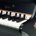 Medinis pianinas CLASSIC WORLD juodas