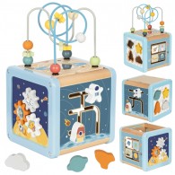 Medinis veiklos kubas erdvės rūšiavimo labirintas TOOKY TOY