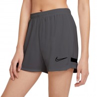 Moteriški Šortai Nike Dri-FIT Academy Pilka CV2649 060