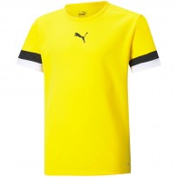 Puma TeamRISE Marškinėliai Geltona 704938 07