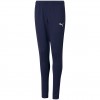 Puma teamRISE Poly Training Kelnės Jr Tamsiai Mėlyna 657391 06