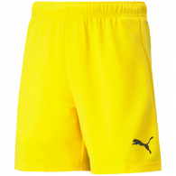 Puma teamRISE Šortai Geltoni 704943 07