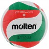 Tinklinio kamuolys Molten V5M2500