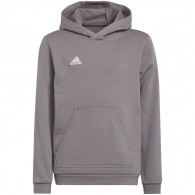 Vaikiškas Džemperis Adidas Entrada 22 Hoody Pilka H57515