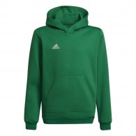 Vaikiškas Džemperis Adidas Entrada 22 Hoody Žalia HI2143