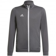 Vaikiškas Džemperis Adidas Entrada 22 Track Jacket Pilka H57521