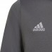 Vaikiškas Džemperis Adidas Entrada 22 Track Jacket Pilka H57521