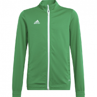 Vaikiškas Džemperis Adidas Entrada 22 Track Jacket Žalia HI2138