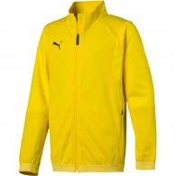 Vaikiškas džemperis Puma Liga Training Jacket 655688 07