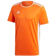 Vaikiški Marškinėliai "Adidas Entrada 18 Jersey JUNIOR" Oranžinė CF1043