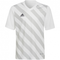 Vaikiški Marškinėliai Adidas Entrada 22 Baltai Pilkas HF0120