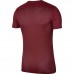 Vaikiški marškinėliai bordo spalvos Nike Dry Park VII JSY SS  BV6741 677