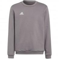 Vaikiški Megztiniai Adidas Entrada 22 Sweat Top