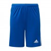 Vaikiški Šortai Adidas Squadra 21 Short Youth Mėlyni