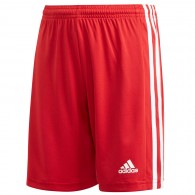 Vaikiški Šortai Adidas Squadra 21 Short Youth Raudoni