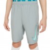 Vaikiški Šortai Nike Akademija Pilki CV1469 019