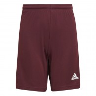 Vaikų Šortai Adidas Squadra 21 Burgundijos GN8081