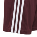 Vaikų Šortai Adidas Squadra 21 Burgundijos GN8081