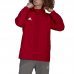 Vyriška Striukė Adidas Entrada 22 All Weather Jacket Raudona HG6299