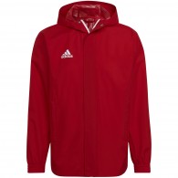 Vyriška Striukė Adidas Entrada 22 All-Weather