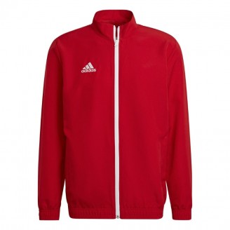 Vyriškas Džemperis Adidas Entrada 22 Prezentation Raudona H57536