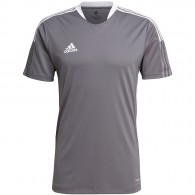 Vyriški Marškinėliai "Adidas Tiro 21 Training Jersey" Pilka GM7587