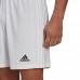 Vyriški Šortai Adidas Squadra 21 Trumpas Baltas GN5774