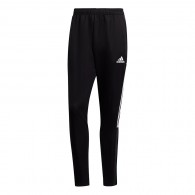 Vyriškos kelnės adidas TIRO21 TRACK PANT GH7305