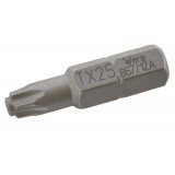 Antgalis „WERA" TX10