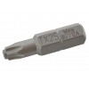 Antgalis „WERA" TX30